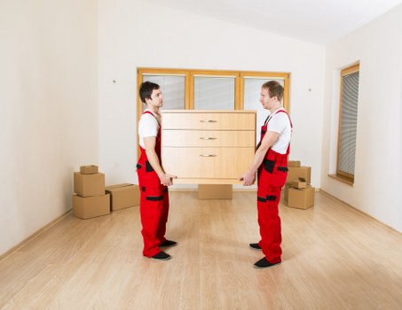 Related moving services and storage options